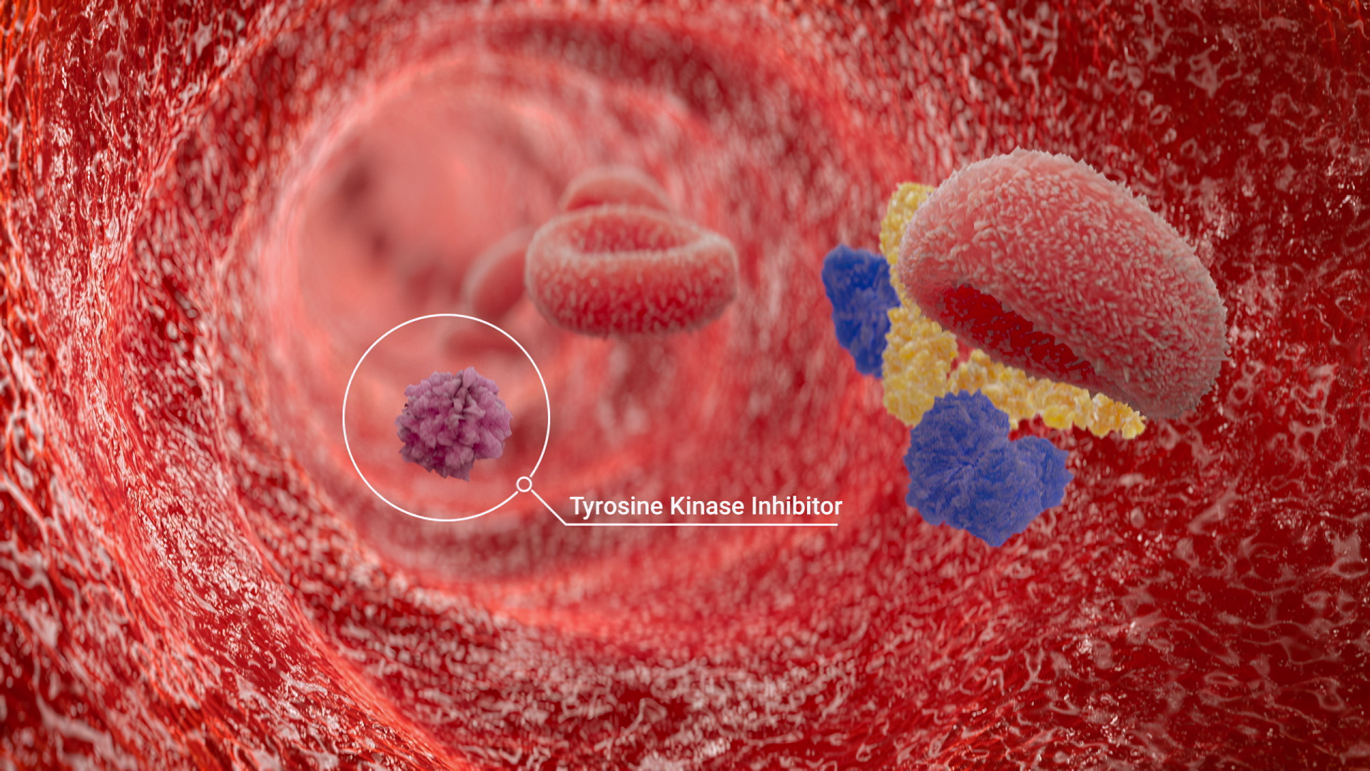 Blood-Brain Barrier